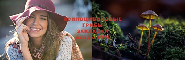 дмт Алзамай