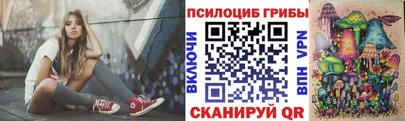 Псилоцибиновые грибы мицелий  Звенигово 